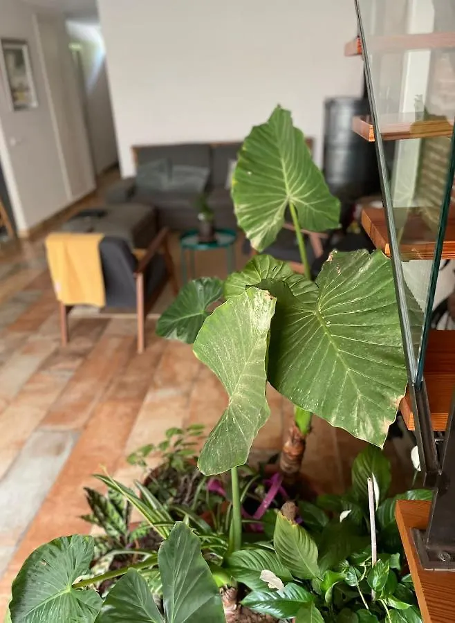 Ferienwohnung Laindustria Palamós